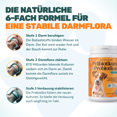 Präbiotikum & Probiotikum - Natureflow Pets - 120 Tabletten
