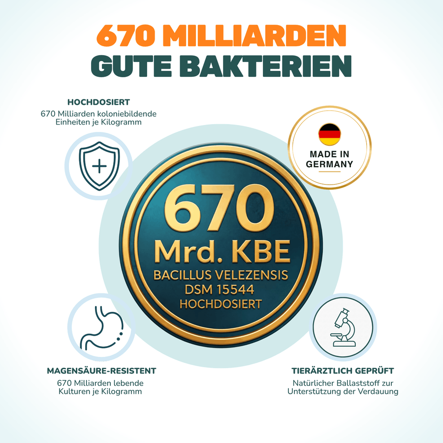 Präbiotikum & Probiotikum - Natureflow Pets - 120 Tabletten