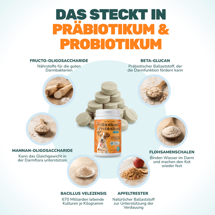 Präbiotikum & Probiotikum - Natureflow Pets - 120 Tabletten