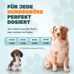 Präbiotikum & Probiotikum - Natureflow Pets - 120 Tabletten