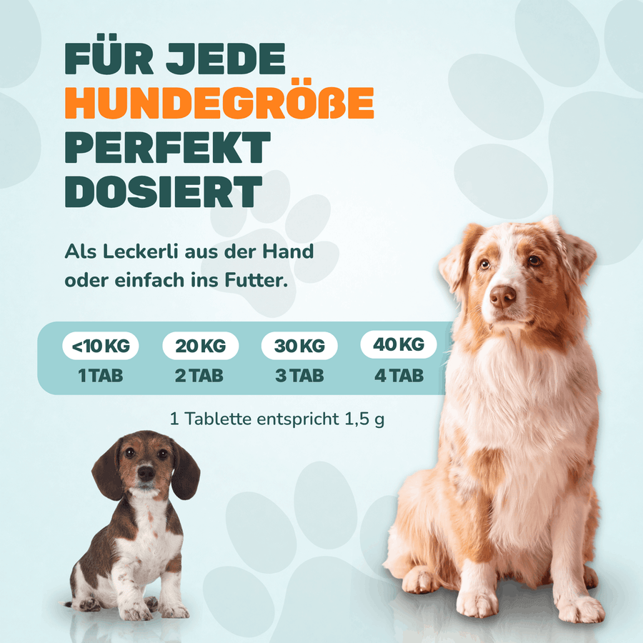 Präbiotikum & Probiotikum - Natureflow Pets - 120 Tabletten