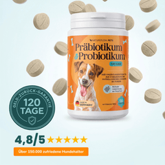 Präbiotikum & Probiotikum - Natureflow Pets - 120 Tabletten