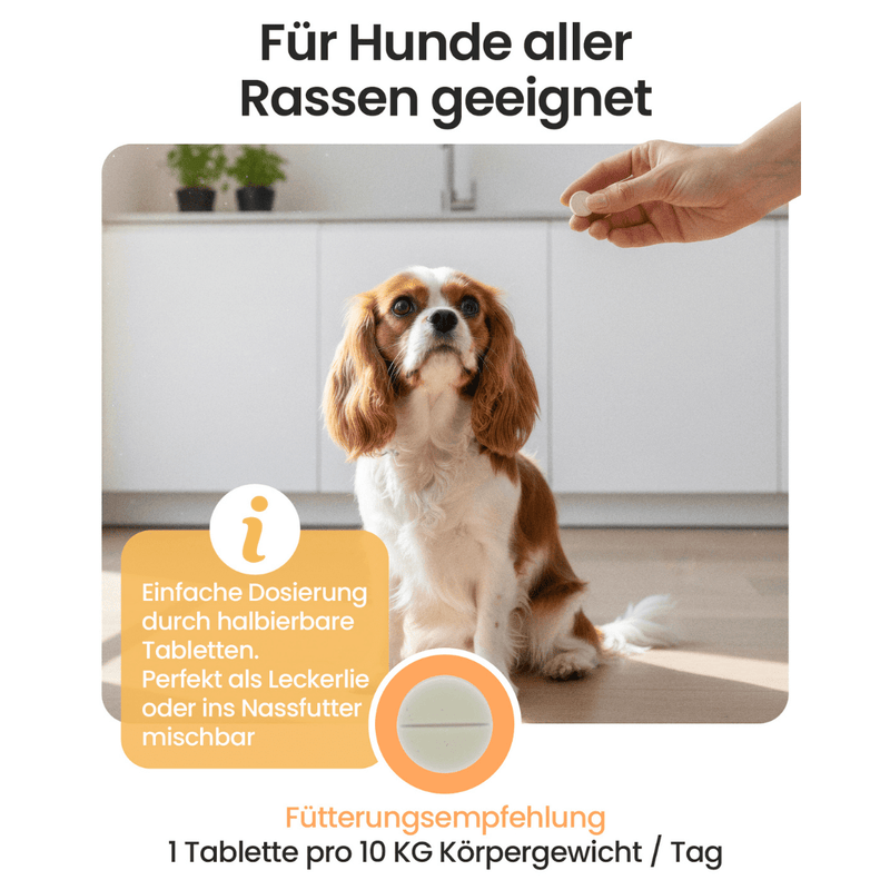 Relax Calm Tabletten - Natureflow Pets - 60 Stück