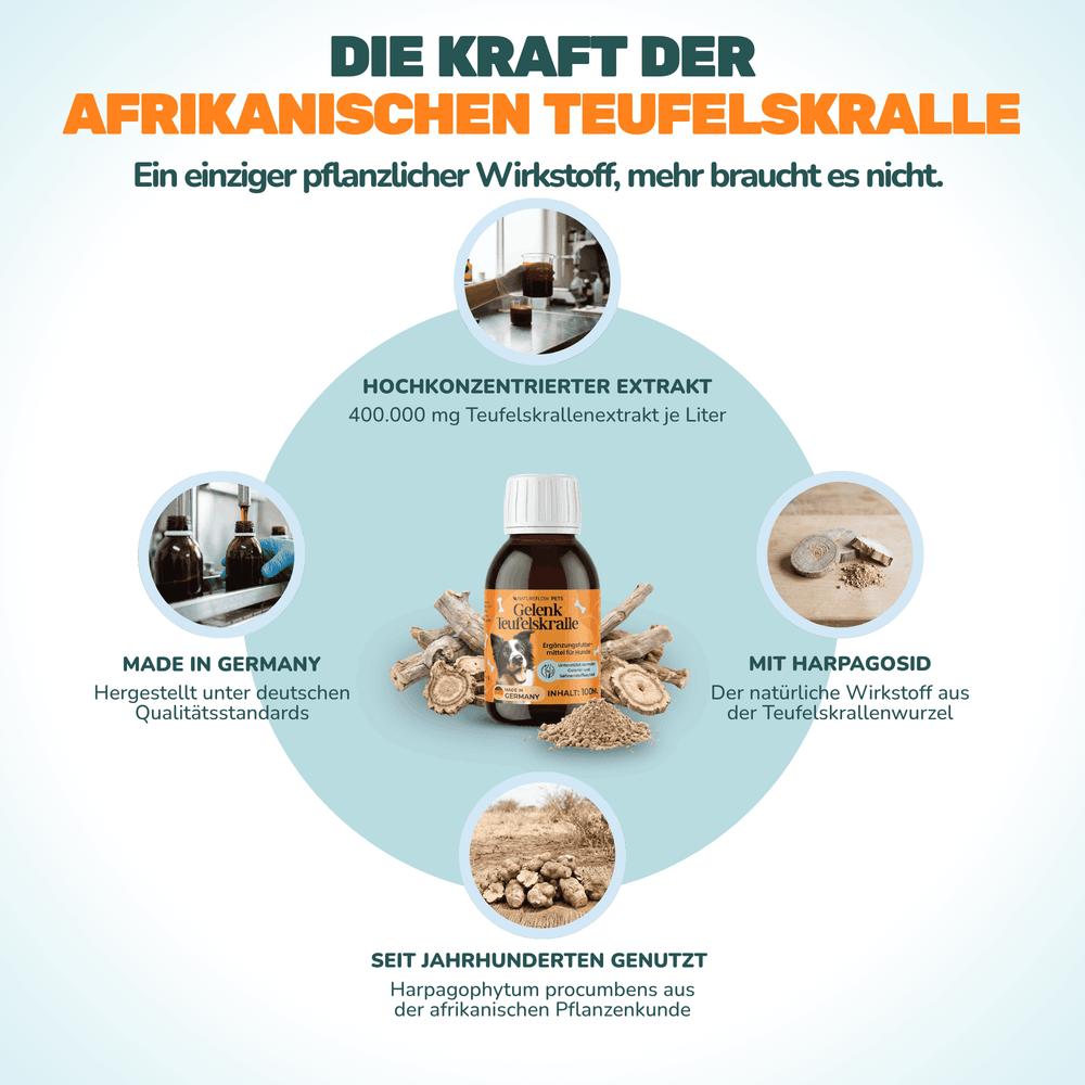 Teufelskralle Liquid - Natureflow Pets - 100ml