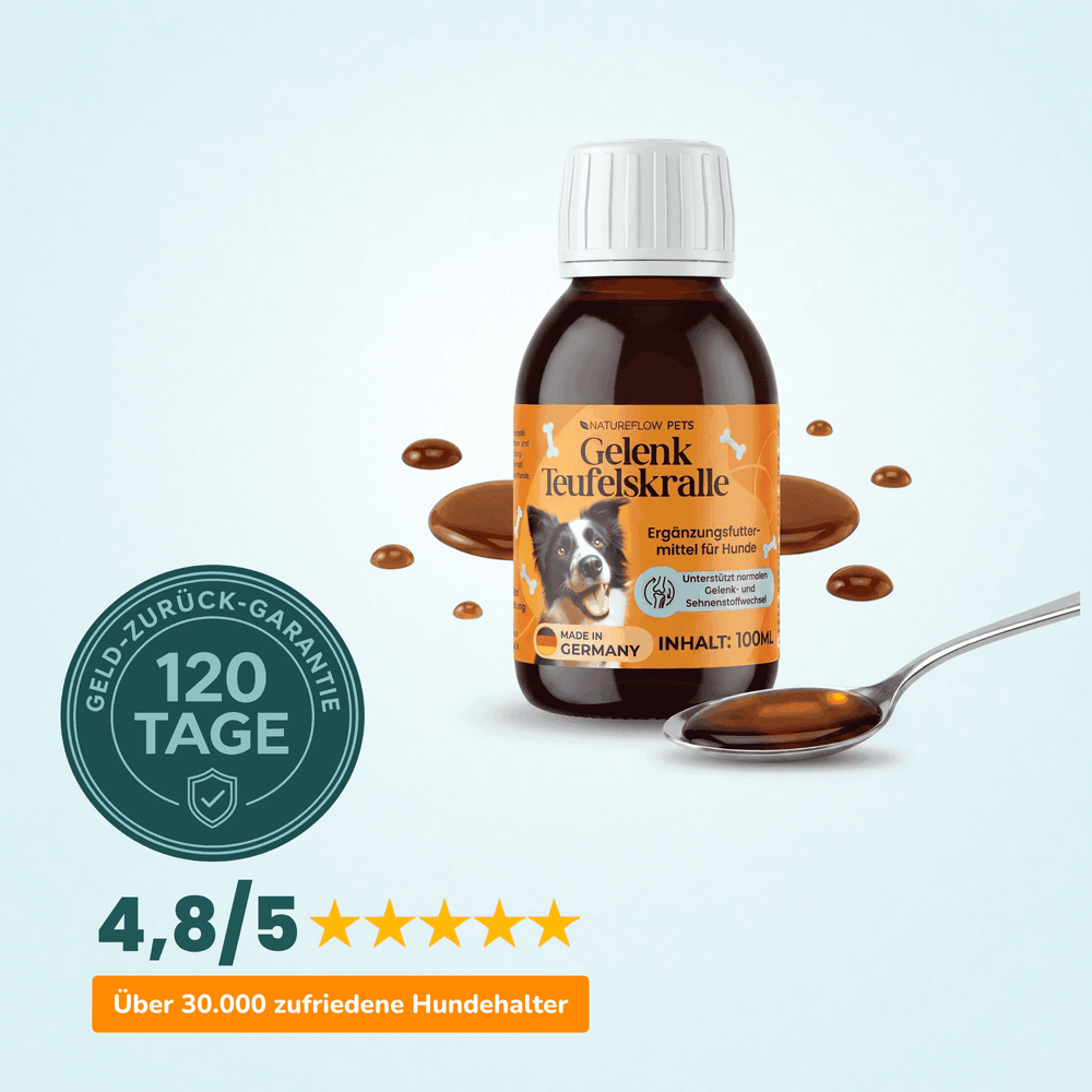 Teufelskralle Liquid - Natureflow Pets - 100ml
