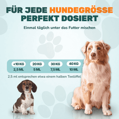 Teufelskralle Liquid - Natureflow Pets - 100ml