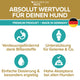 Teufelskralle Liquid - Natureflow Pets - 100ml