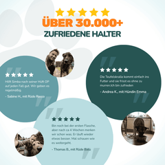 Teufelskralle Liquid - Natureflow Pets - 100ml