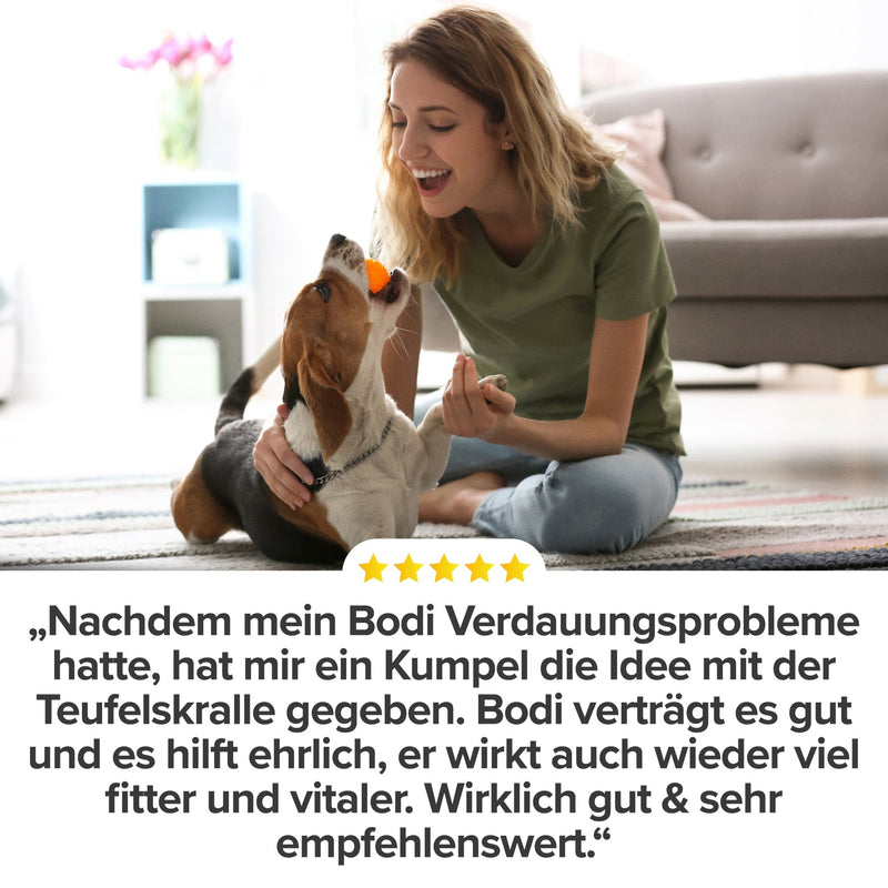 Teufelskralle Liquid - Natureflow Pets - 100ml