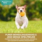 Teufelskralle Liquid - Natureflow Pets - 100ml