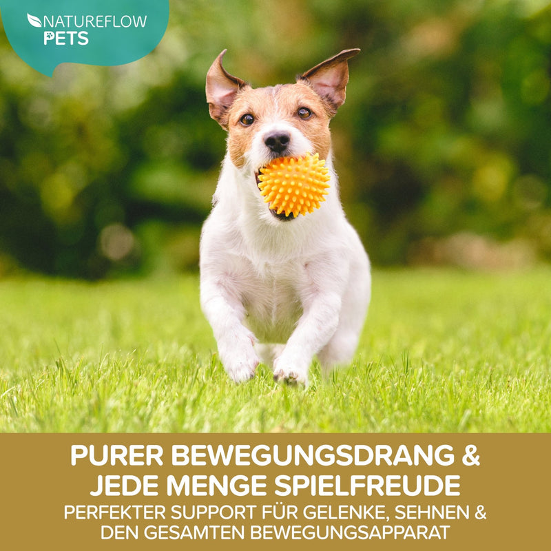 Teufelskralle Liquid - Natureflow Pets - 100ml